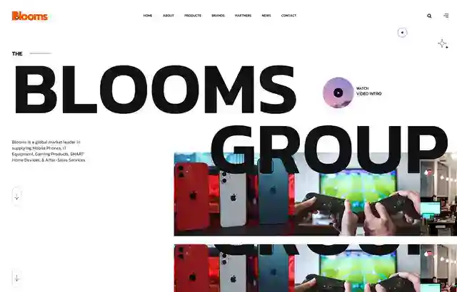 Desktop view of Blooms Group  website.