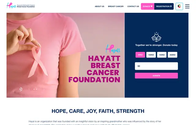 web design & development company in Kuwait hayatt